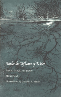 Cover image of Under the Influence of Water