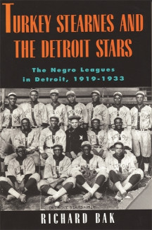 Cover image of Turkey Stearnes and the Detroit Stars