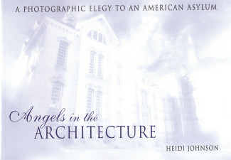 Cover image of Angels in the Architecture