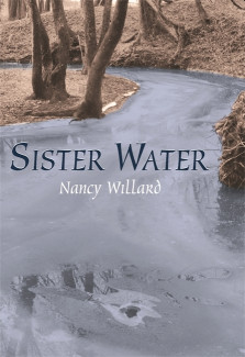 Cover image of Sister Water