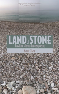 Cover image of Land of Stone