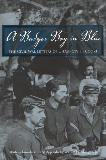 Cover image of A Badger Boy in Blue