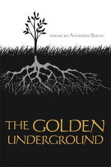 Cover image of The Golden Underground