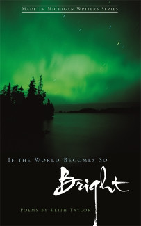 Cover image of If the World Becomes So Bright