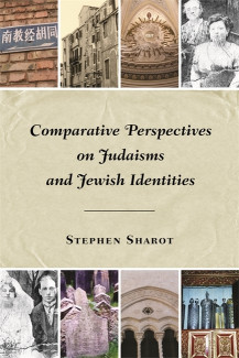 Cover image of Comparative Perspectives on Judaisms and Jewish Identities