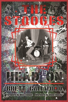 Cover image of The Stooges