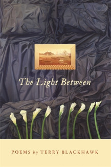 Cover image of The Light Between