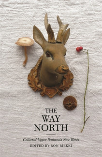 Cover image of The Way North