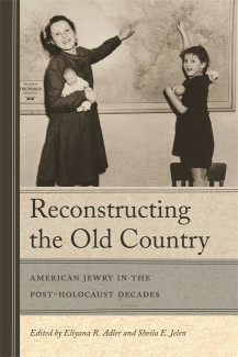 Cover image of Reconstructing the Old Country