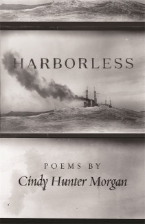 Cover image of Harborless