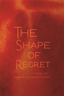 Cover image of The Shape of Regret