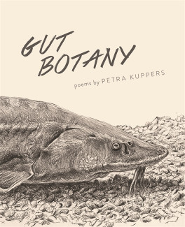 Cover image of Gut Botany