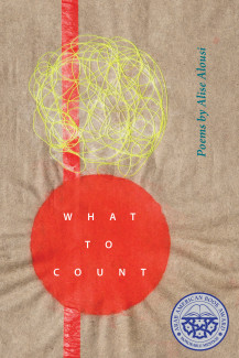 Cover image of What to Count