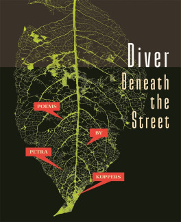 Cover image of Diver Beneath the Street