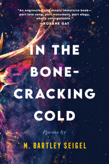 Cover image of In the Bone-Cracking Cold