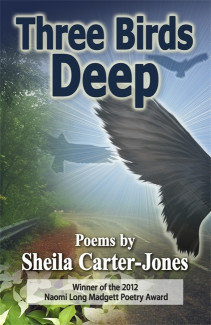 Cover image of Three Birds Deep