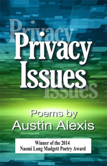 Cover image of Privacy Issues