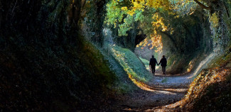 Two people walking down a path