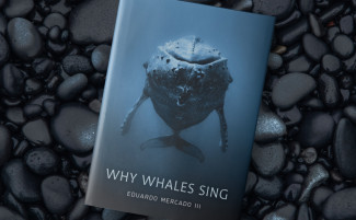 Why Whales Sing book cover