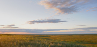 peacful flat plain landscape