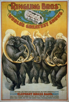 elephantbrassband.jpg