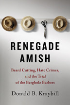 renegade_amish_cover.jpg