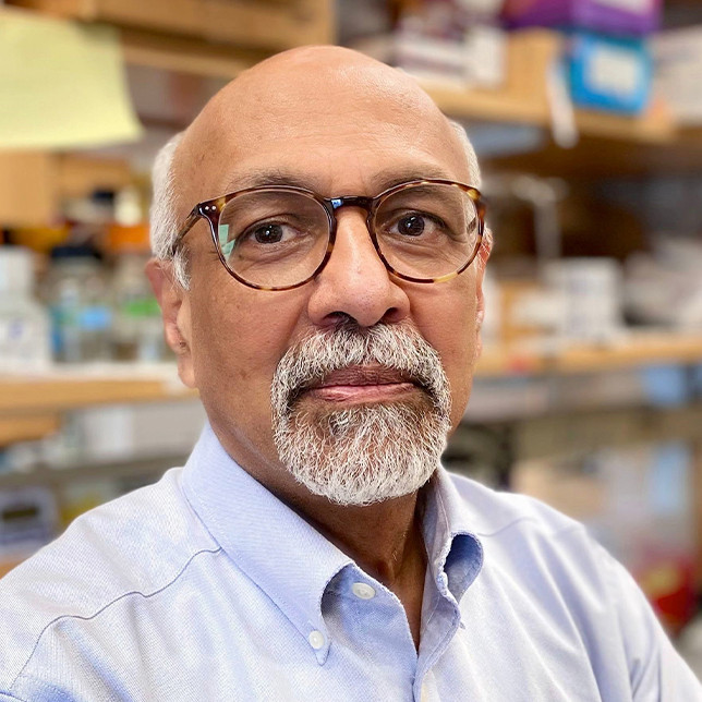 Bobby Joseph Cherayil, MD Hopkins Press